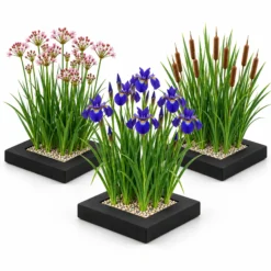 Set Isla De Plantas Estanque 3 Piezas - Set Completo Con 12 Plantas