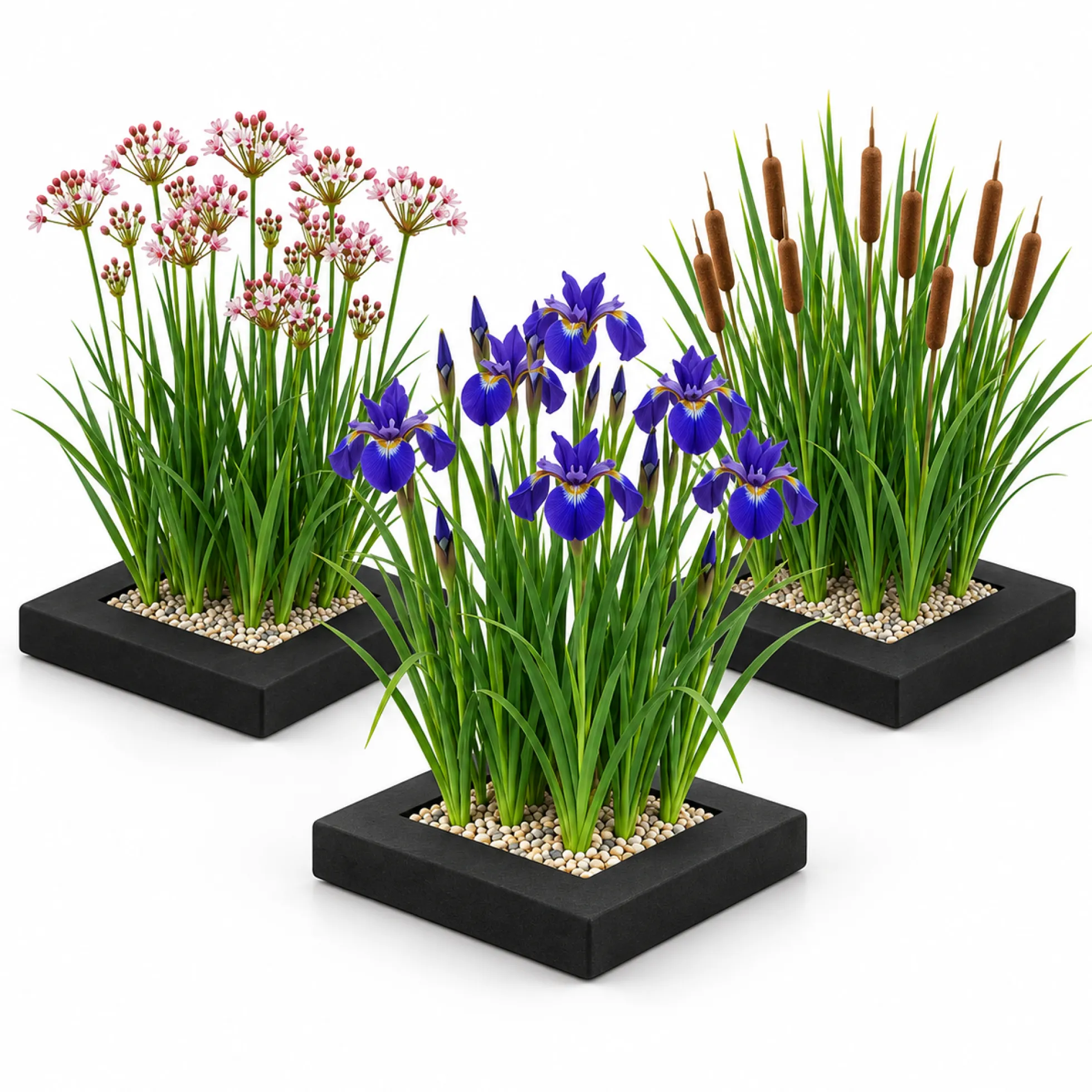 Set Isla De Plantas Estanque 3 Piezas - Set Completo Con 12 Plantas