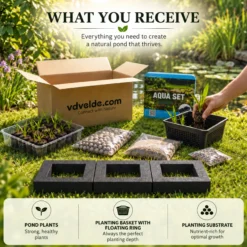 Set Isla De Plantas Estanque 3 Piezas - Set Completo Con 12 Plantas