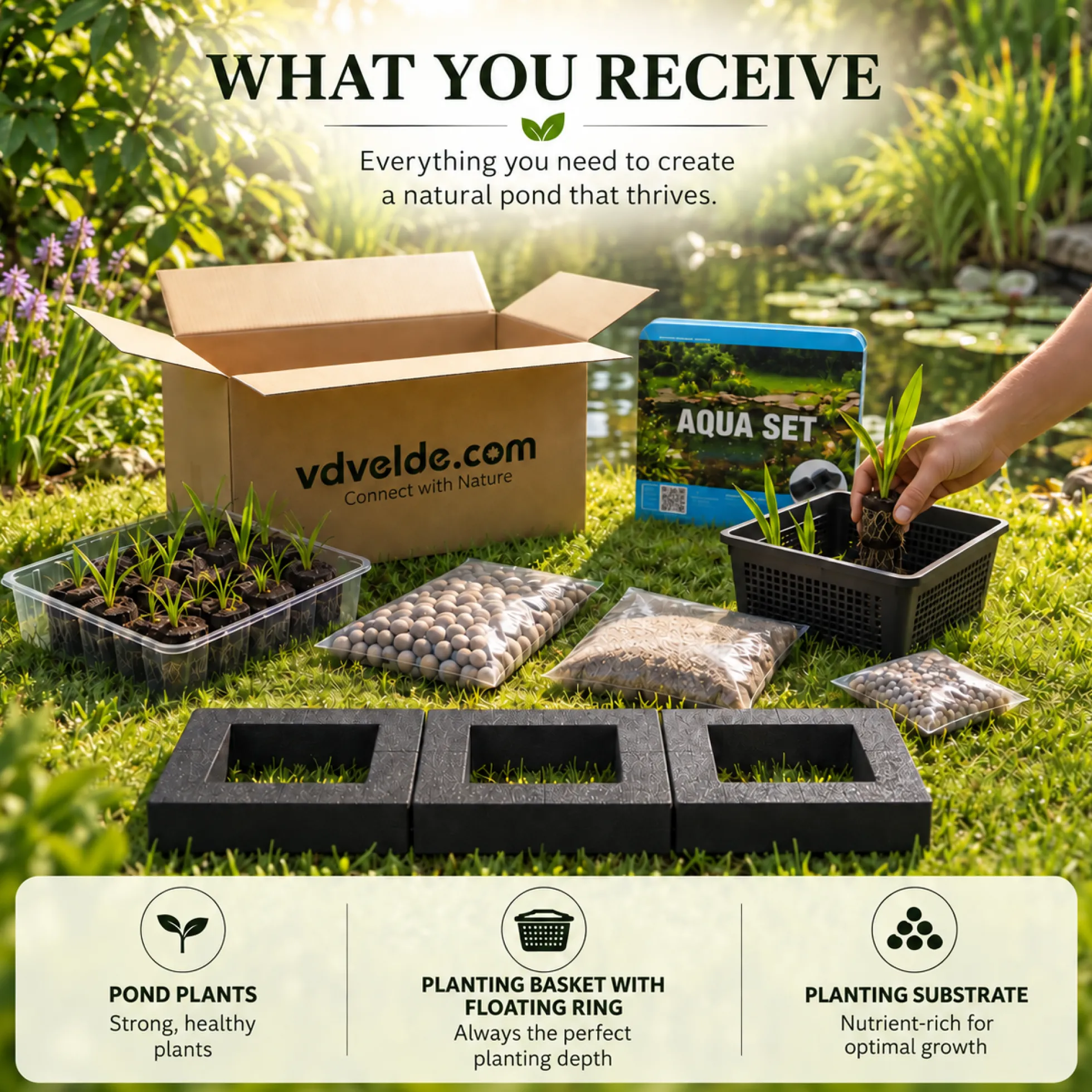 Set Isla De Plantas Estanque 3 Piezas - Set Completo Con 12 Plantas