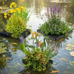 Set Sorpresa Plantas Estanque - 12 Plantas Incl. Isla Flotante