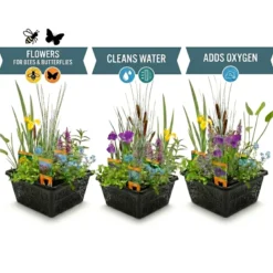 Set Sorpresa Plantas Estanque - 12 Plantas Incl. Nenúfar Blanco