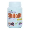 Shilajit dorado Ayurveda 60 cápsulas