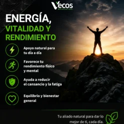 Shilajit 1400 Mg Vecos 120 Cápsulas | Energía, Vitalidad Y Testosterona | Con Zinc Y Vitamina B6