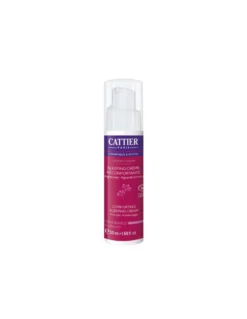 Sleeping Cream Noche Reconfortante Bio - Cattier