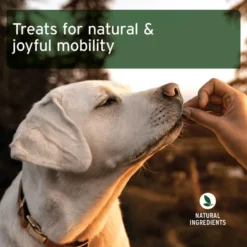 Snack Articular para perros AniForte 50 g