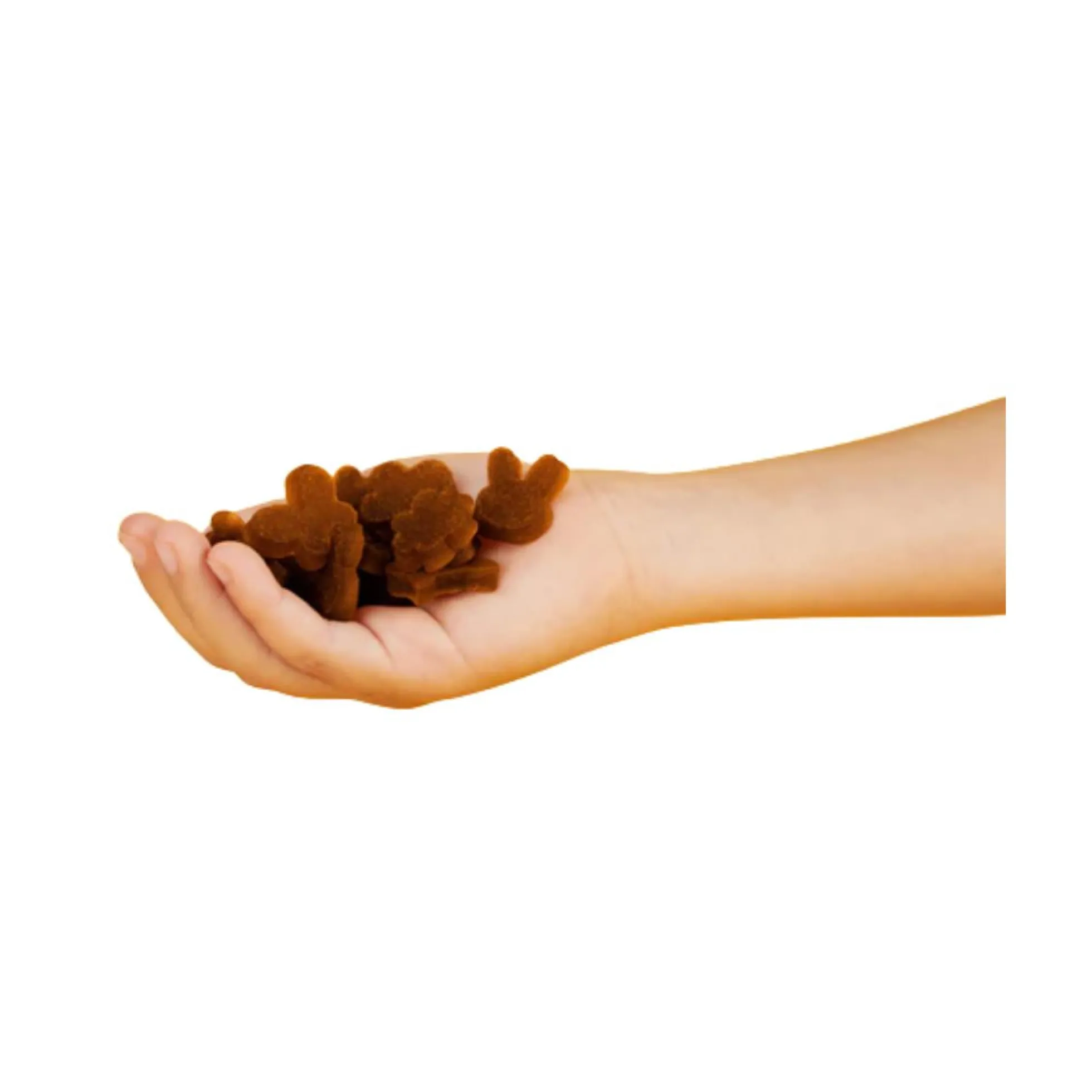 Snack de manzana y plátano ECO 25g, Triboo