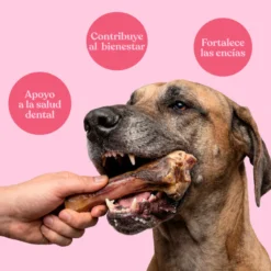 Snack Dos Medios Huesos de Jamón para Perros 500 g dr.bimix