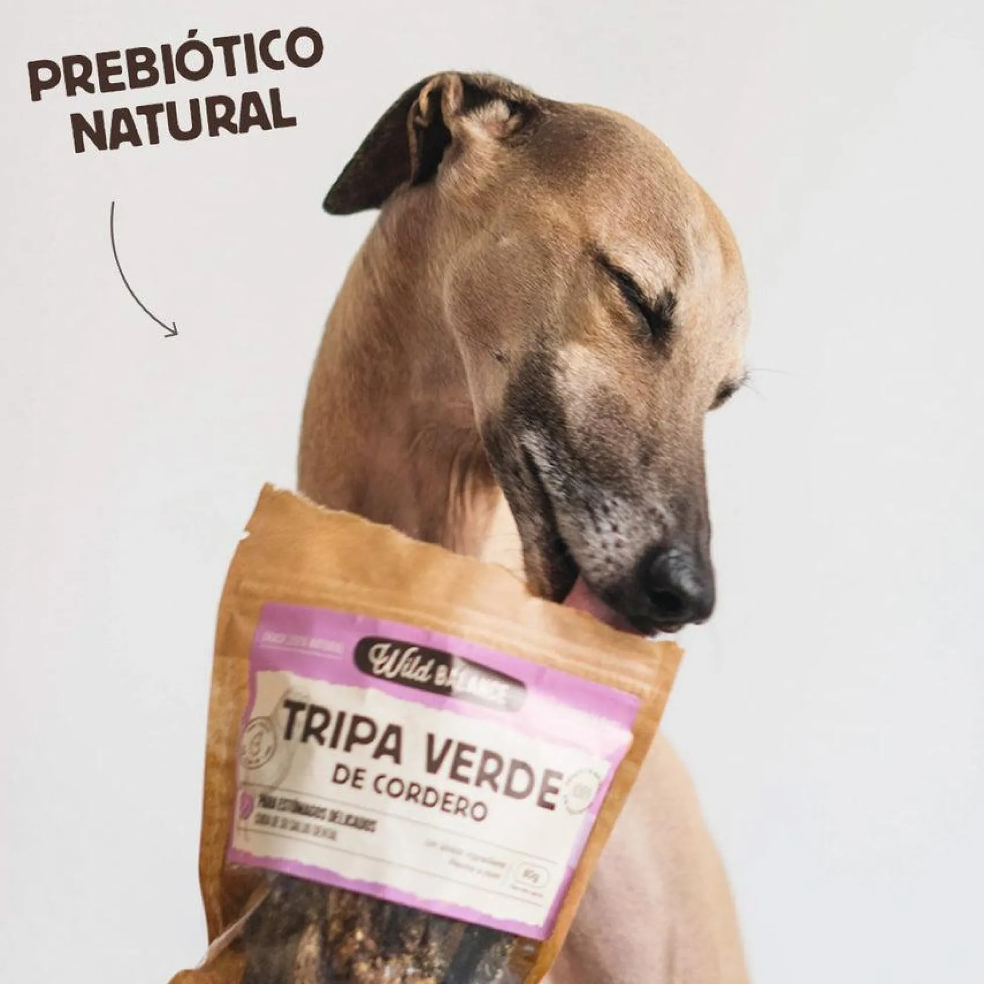 Snack Natural Tripa verde de cordero Wild Balance 100 g