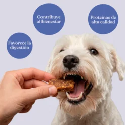 Snack Nuggets de Conejo con Patata y Romero para Perros 450 g dr.bimix