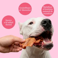 Snack Orejas de Cerdo para Perros Masticación Natural 230 g dr.bimix