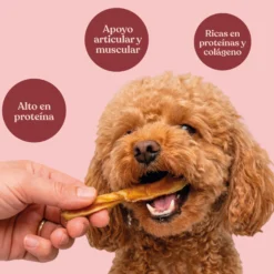 Snack Palitos de Caravaca para Perros Masticación Natural 225 g dr.bimix