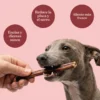Snack Palitos de Esófago de Vacuno para Perros 30 cm 250 g dr.bimix