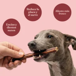 Snack Palitos de Esófago de Vacuno para Perros 30 cm 250 g dr.bimix