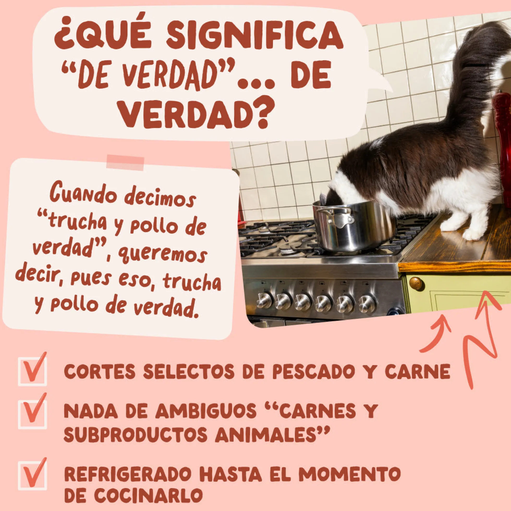 Sobre de Comida Húmeda Trucha & Pollo en Salsa para Gatos Edgard & Cooper 85 g