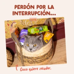 Sobre de Comida Húmeda Trucha & Pollo en Salsa para Gatos Edgard & Cooper 85 g