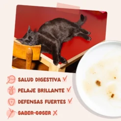 Sobre de Comida Húmeda Trucha & Pollo en Salsa para Gatos Edgard & Cooper 85 g