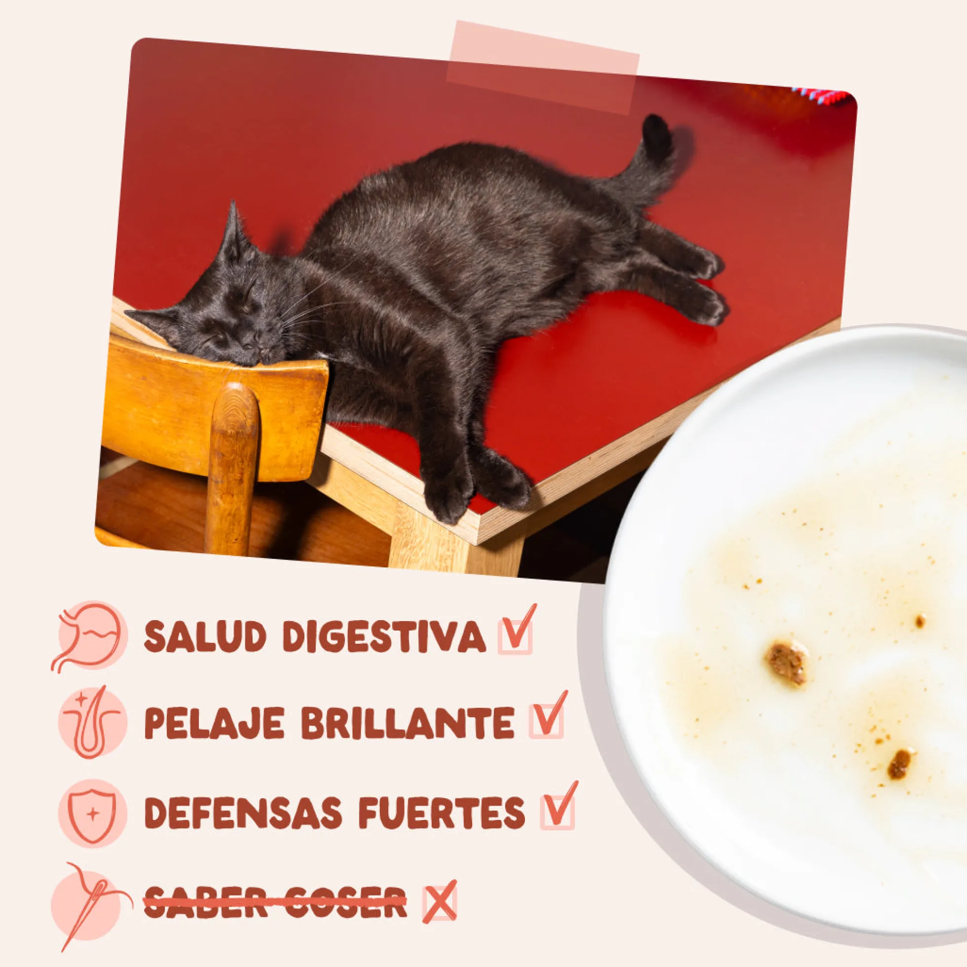 Sobre de Comida Húmeda Trucha & Pollo en Salsa para Gatos Edgard & Cooper 85 g