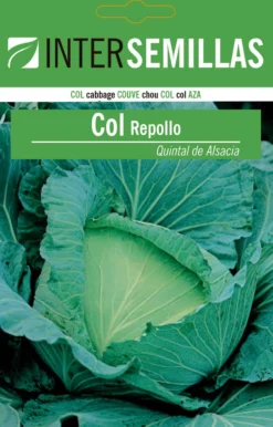 Sobre De Semillas Col Repollo Quintal Alsacia