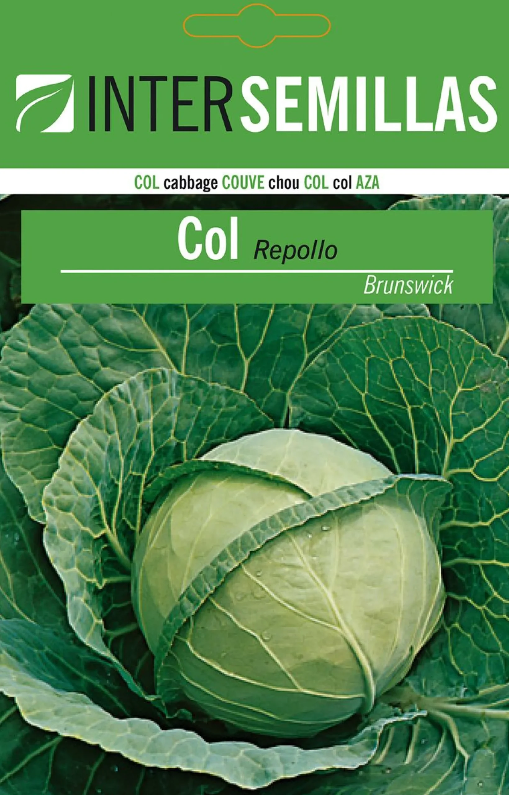 Sobre De Semillas Col Repollo Brunswick