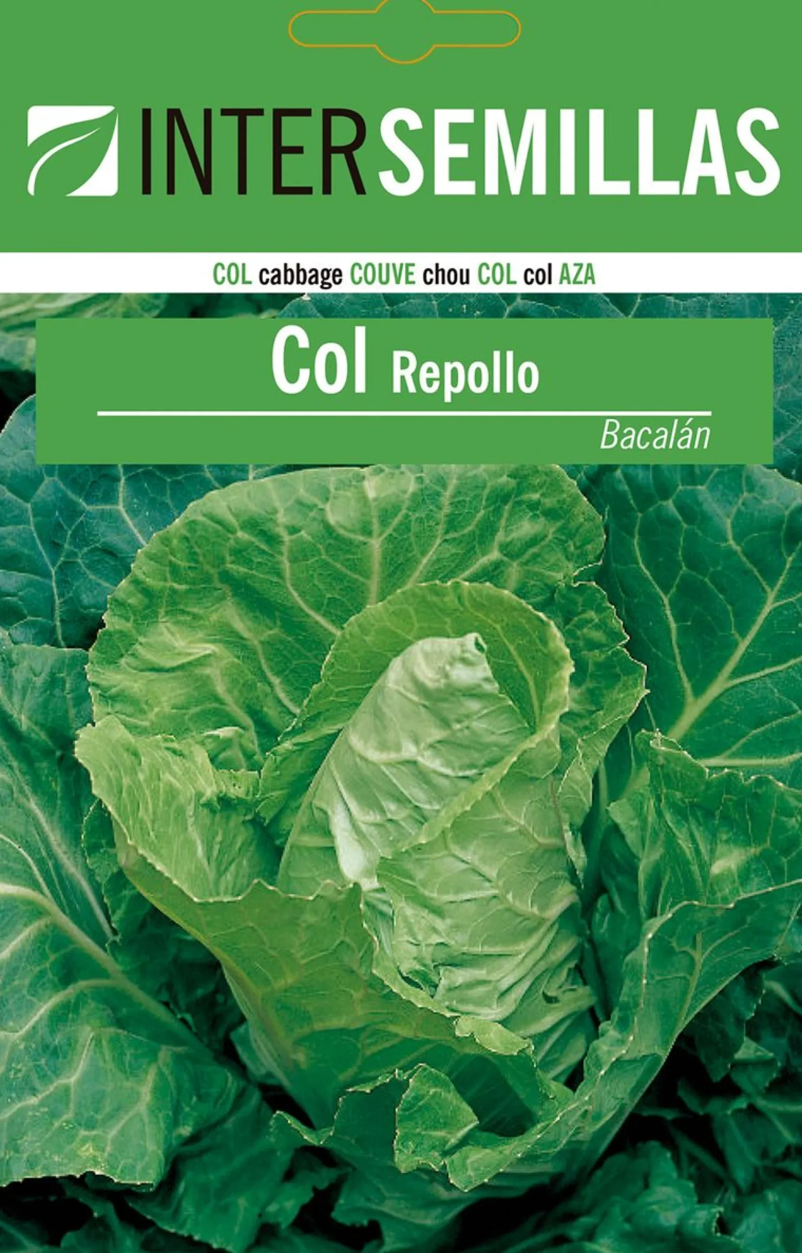 Sobre De Semillas Col Repollo Bacalan