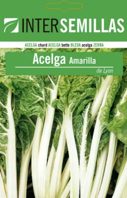 Sobre De Semillas De Acelga Amarilla