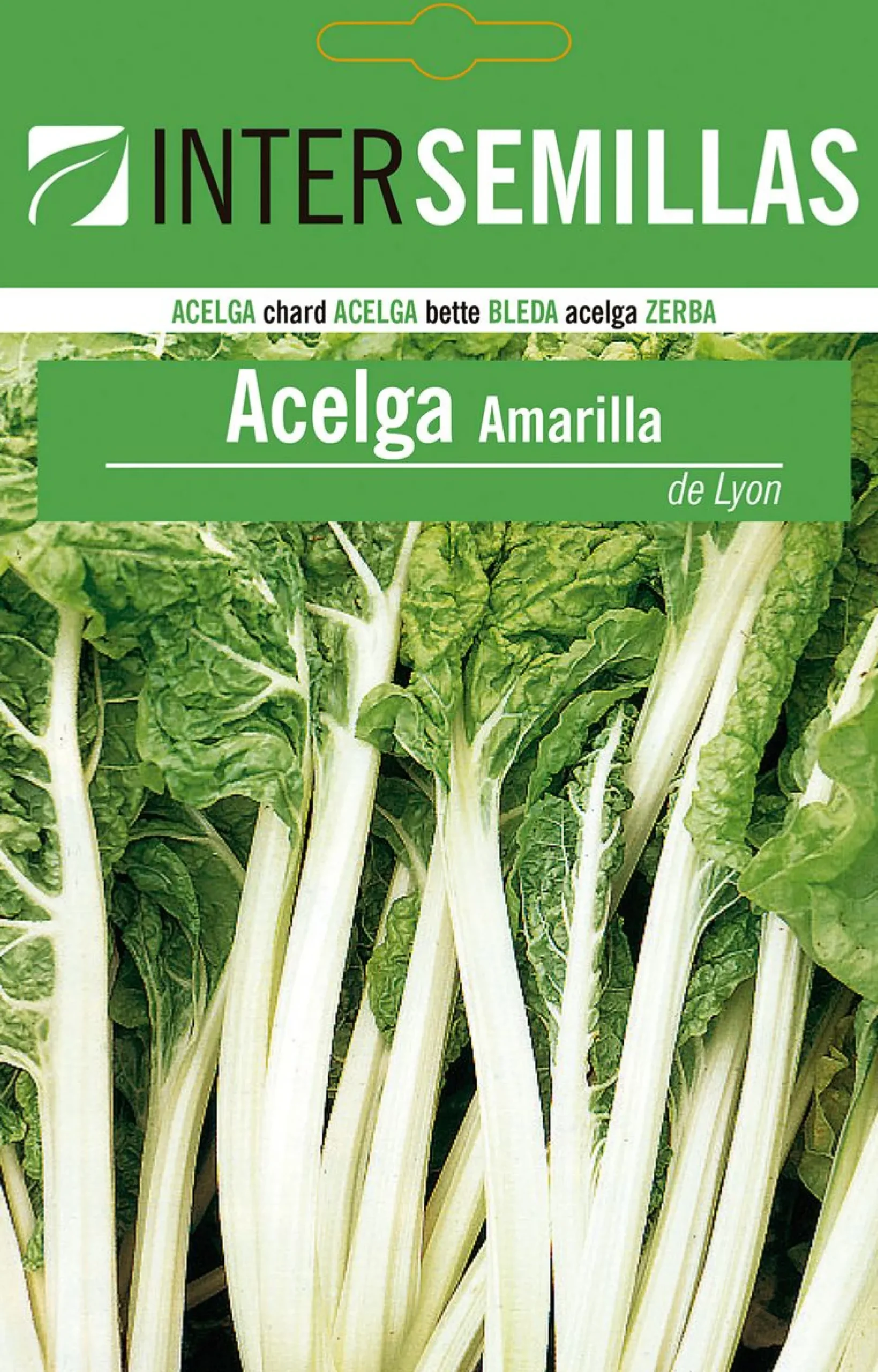 Sobre De Semillas De Acelga Amarilla