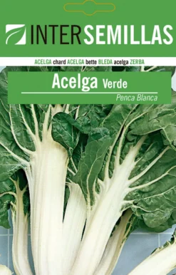 Sobre De Semillas De Acelga Verde