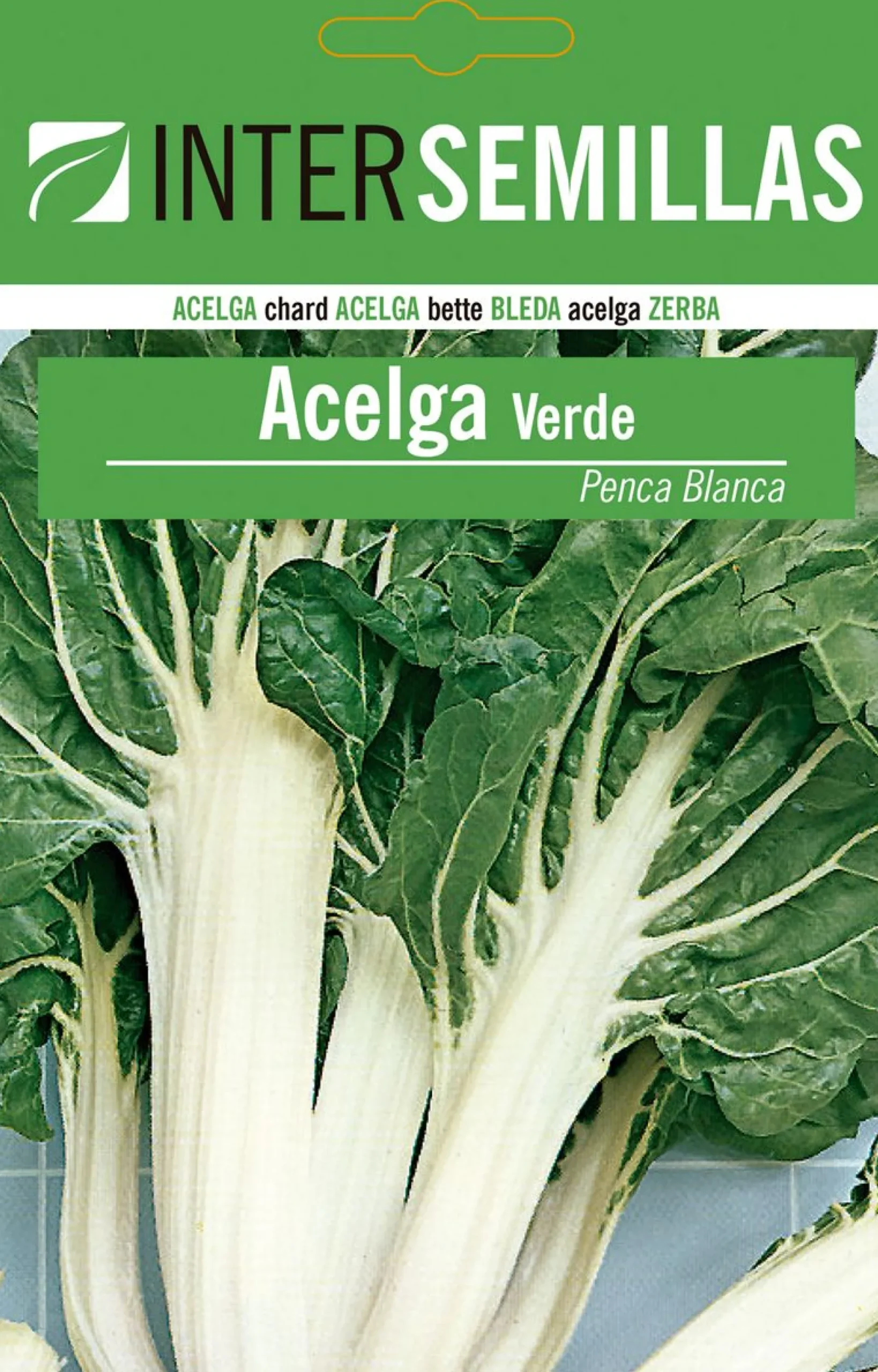 Sobre De Semillas De Acelga Verde