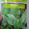 Sobre De Semillas De Borraja De Flor Blanca