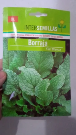 Sobre De Semillas De Borraja De Flor Blanca