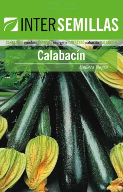 Sobre De Semillas De Calabacin Belleza Negra