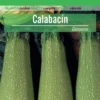 Sobre De Semillas De Calabacin Verde Claro
