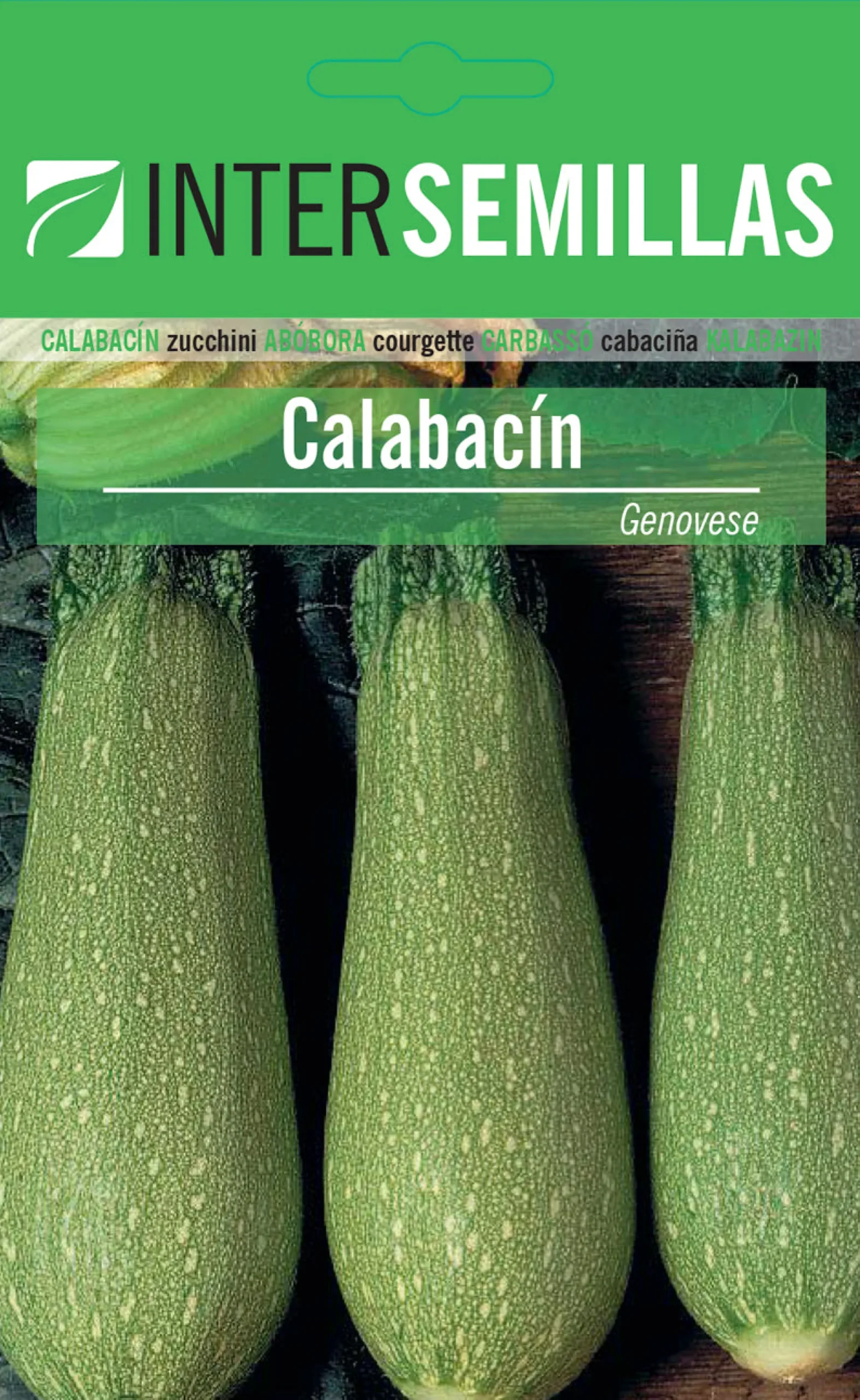 Sobre De Semillas De Calabacin Verde Claro