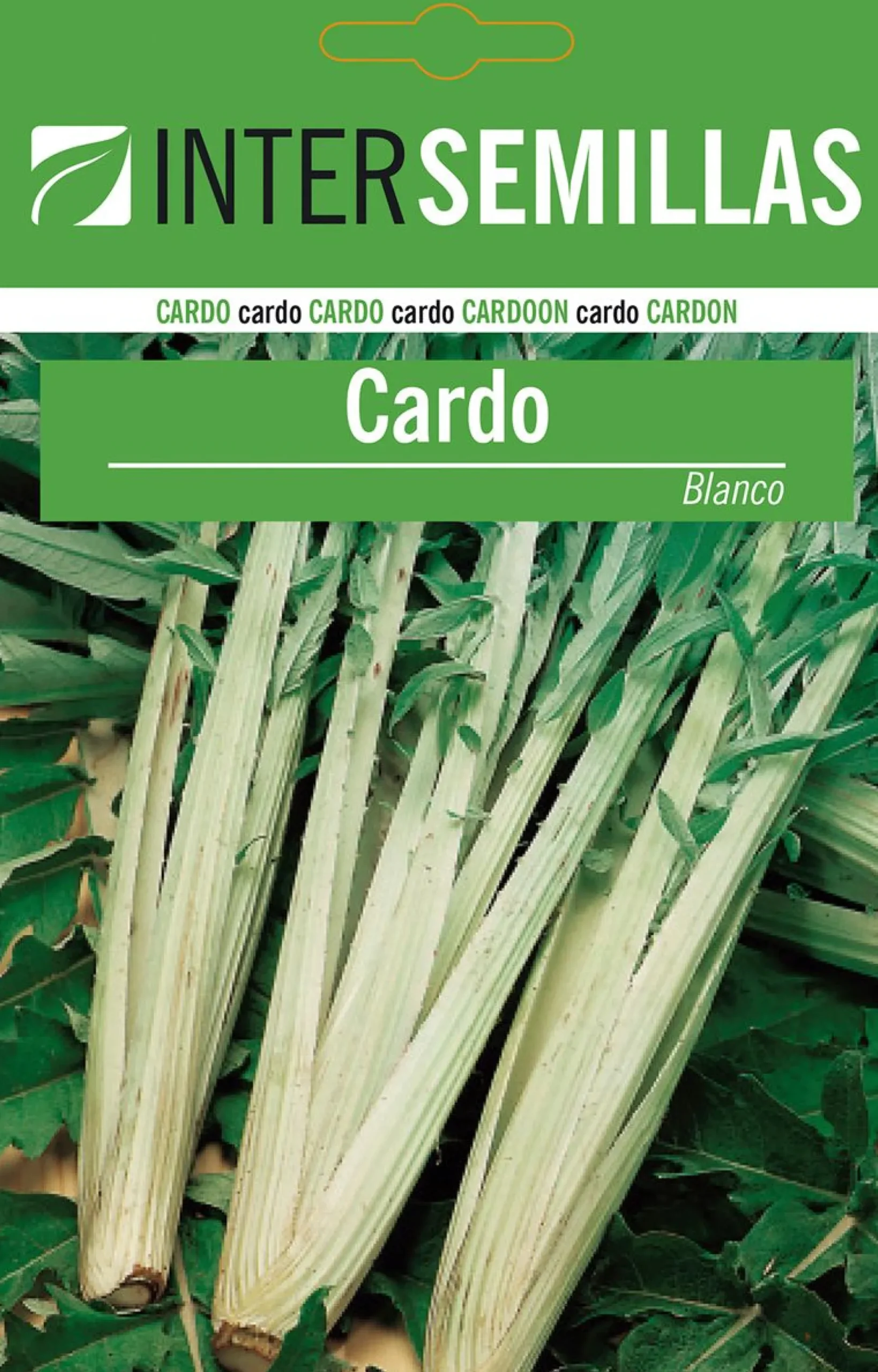 Sobre De Semillas De Cardo Blanco