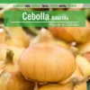 Sobre De Semillas De Cebolla Amarilla Paja Virtudes
