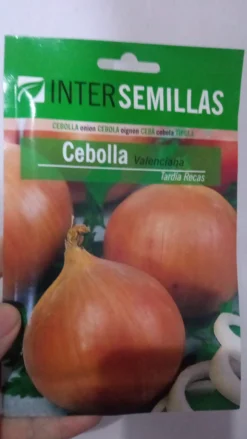 Sobre De Semillas De Cebolla Valenciana Tardia