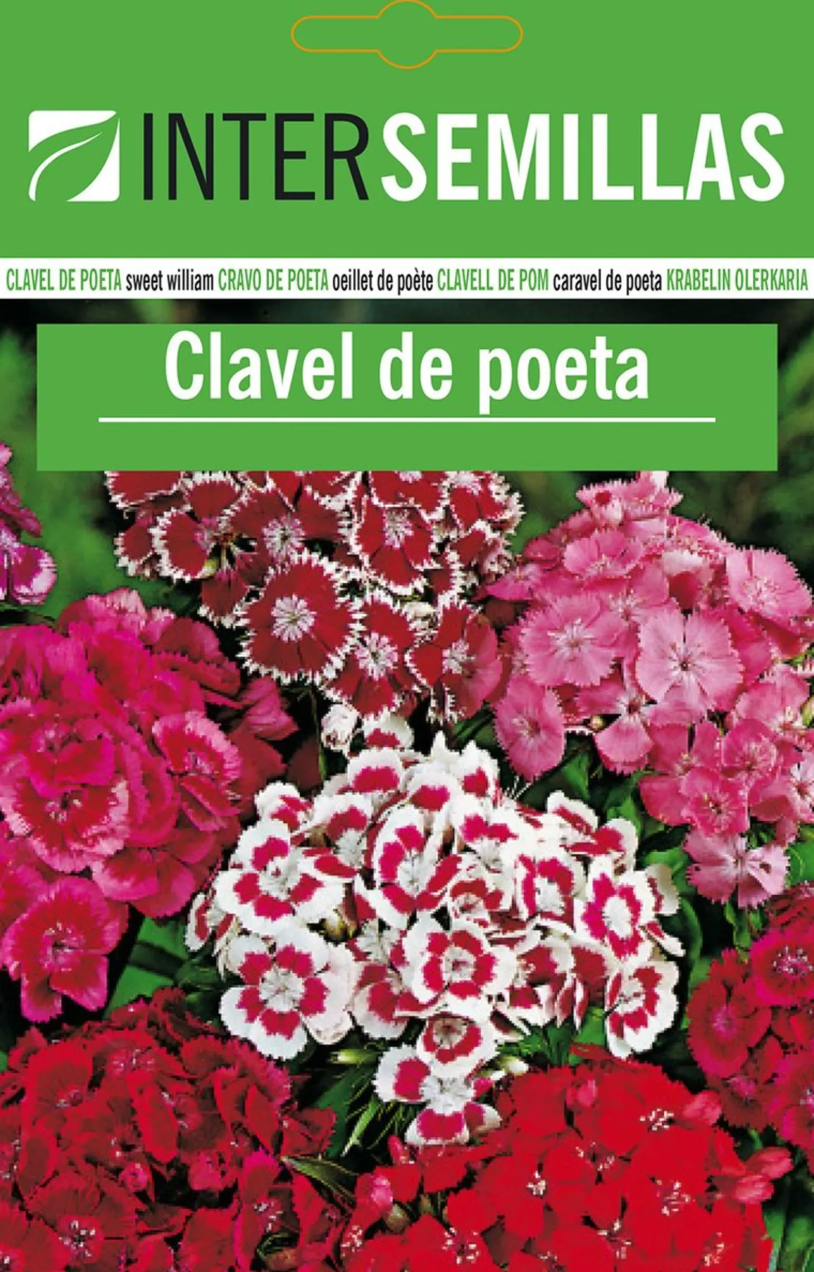Sobre De Semillas De Clavel De Poeta