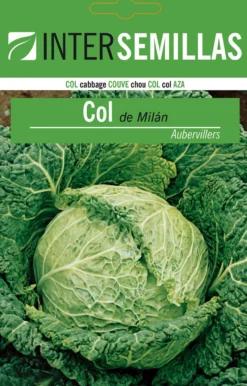 Sobre De Semillas De Colde Milan Aubervillers