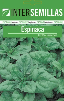 Sobre De Semillas De Espinaca Viroflay