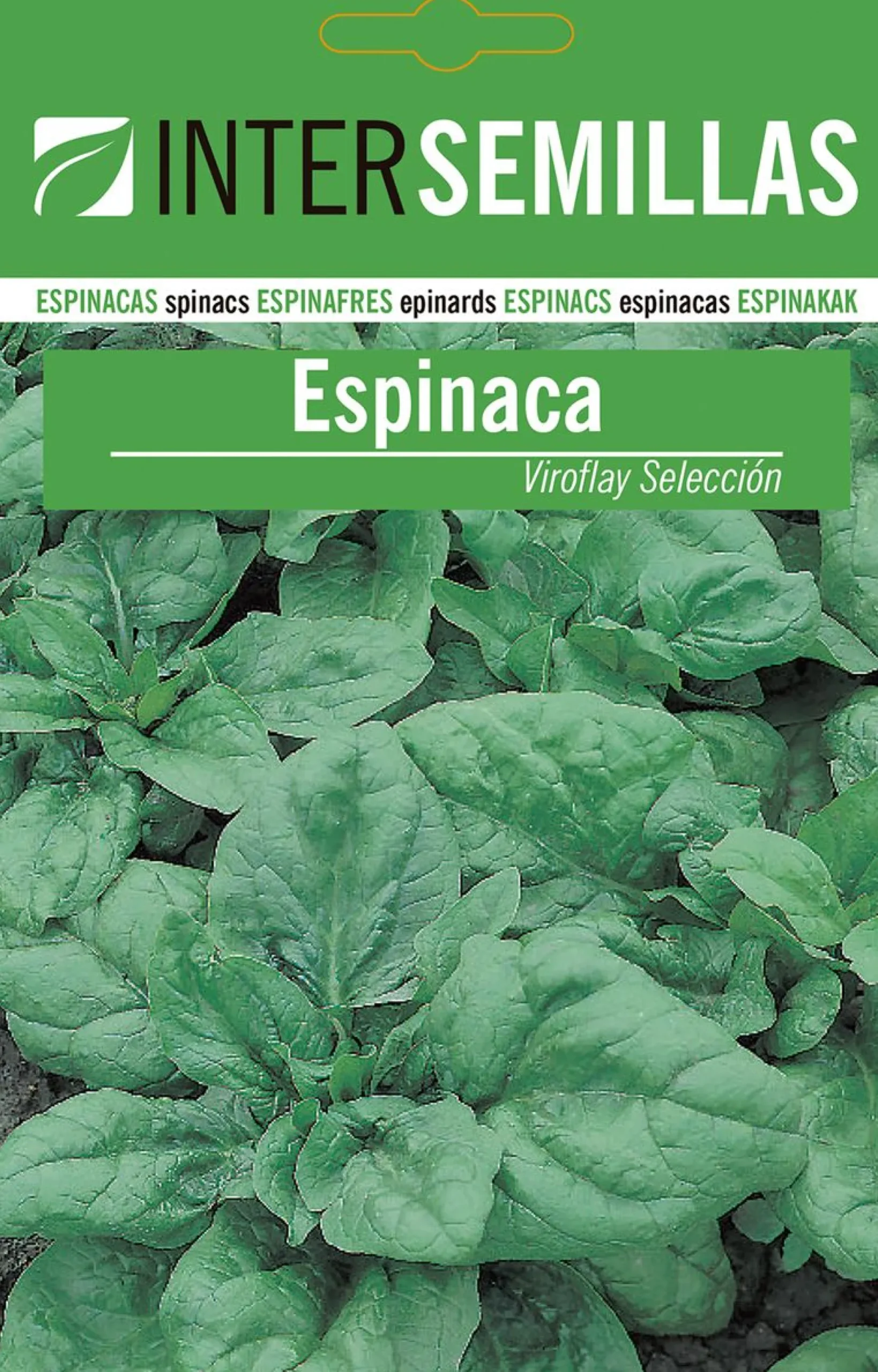 Sobre De Semillas De Espinaca Viroflay