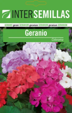 Sobre De Semillas De Geranio Colorama