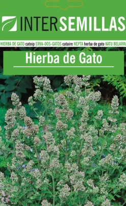 Sobre De Semillas De Hierba Para Gatos Catnip
