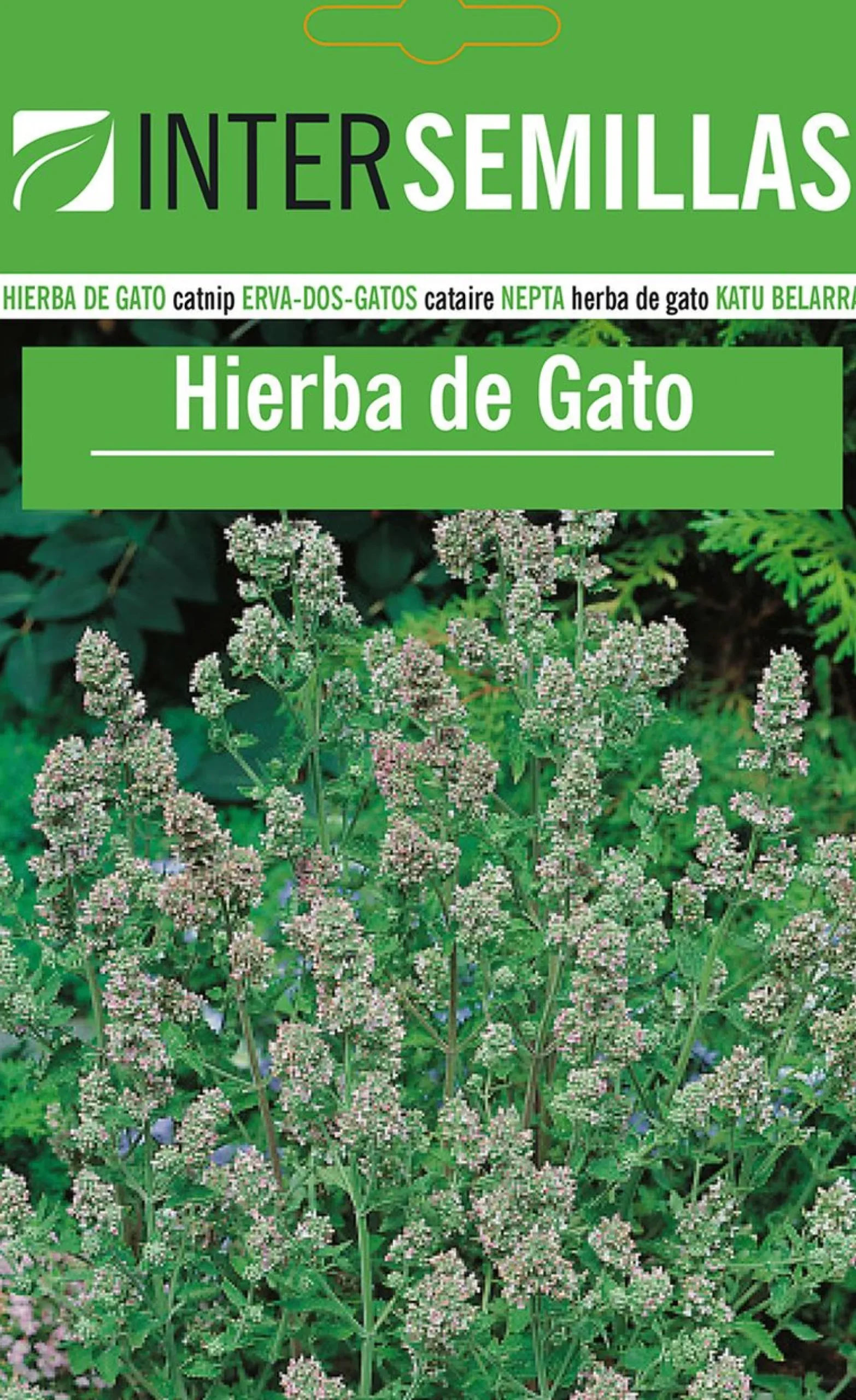 Sobre De Semillas De Hierba Para Gatos Catnip