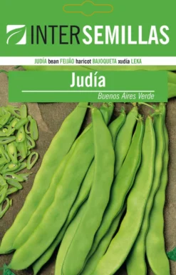 Sobre De Semillas De Judia Buenos Aires Verde