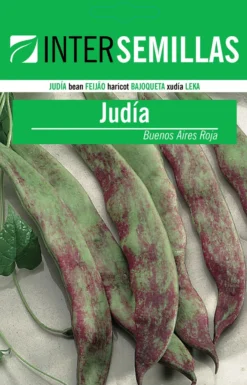 Sobre De Semillas De Judia Buenos Aires Roja