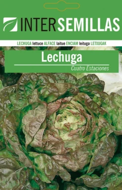 Sobre De Semillas De Lechuga Cuatro Estaciones