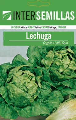 Sobre De Semillas De Lechuga Little Gem