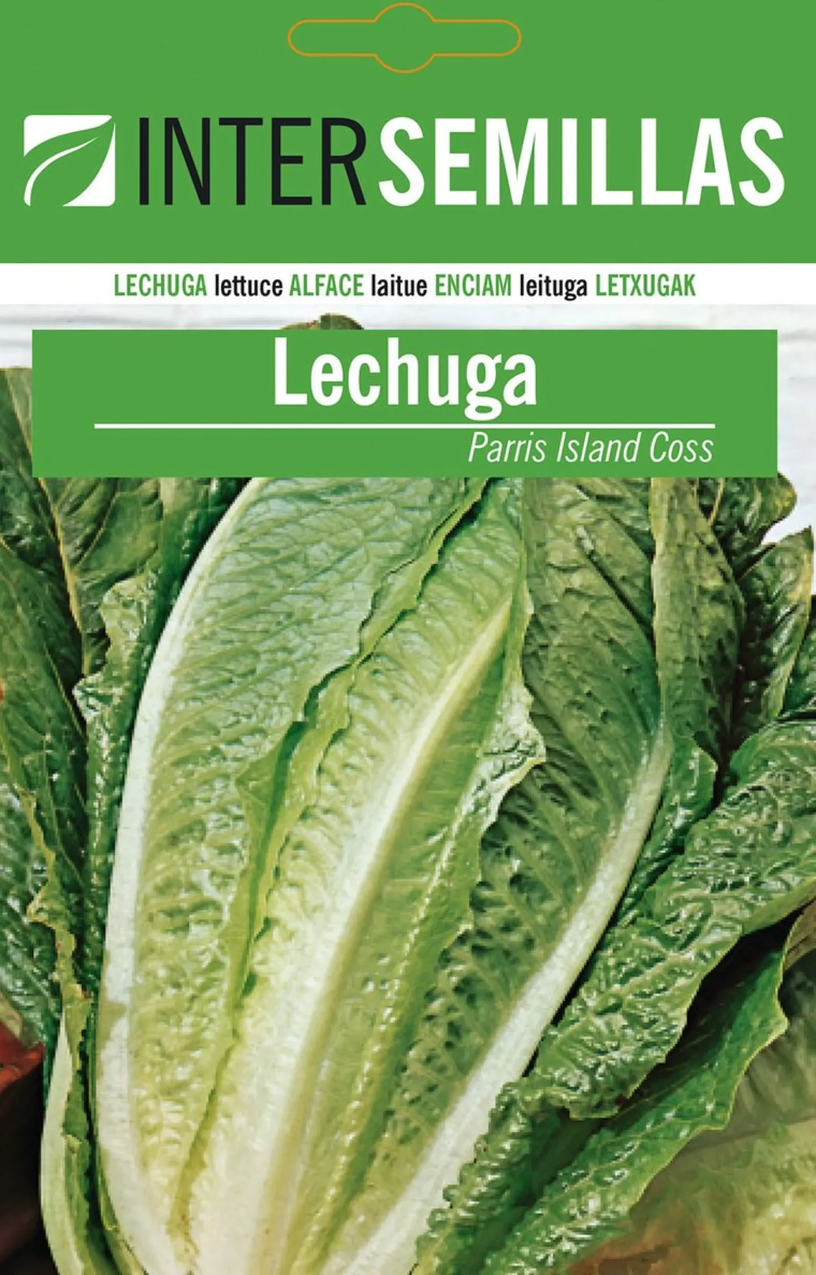 Sobre De Semillas De Lechuga Parris Island Coss