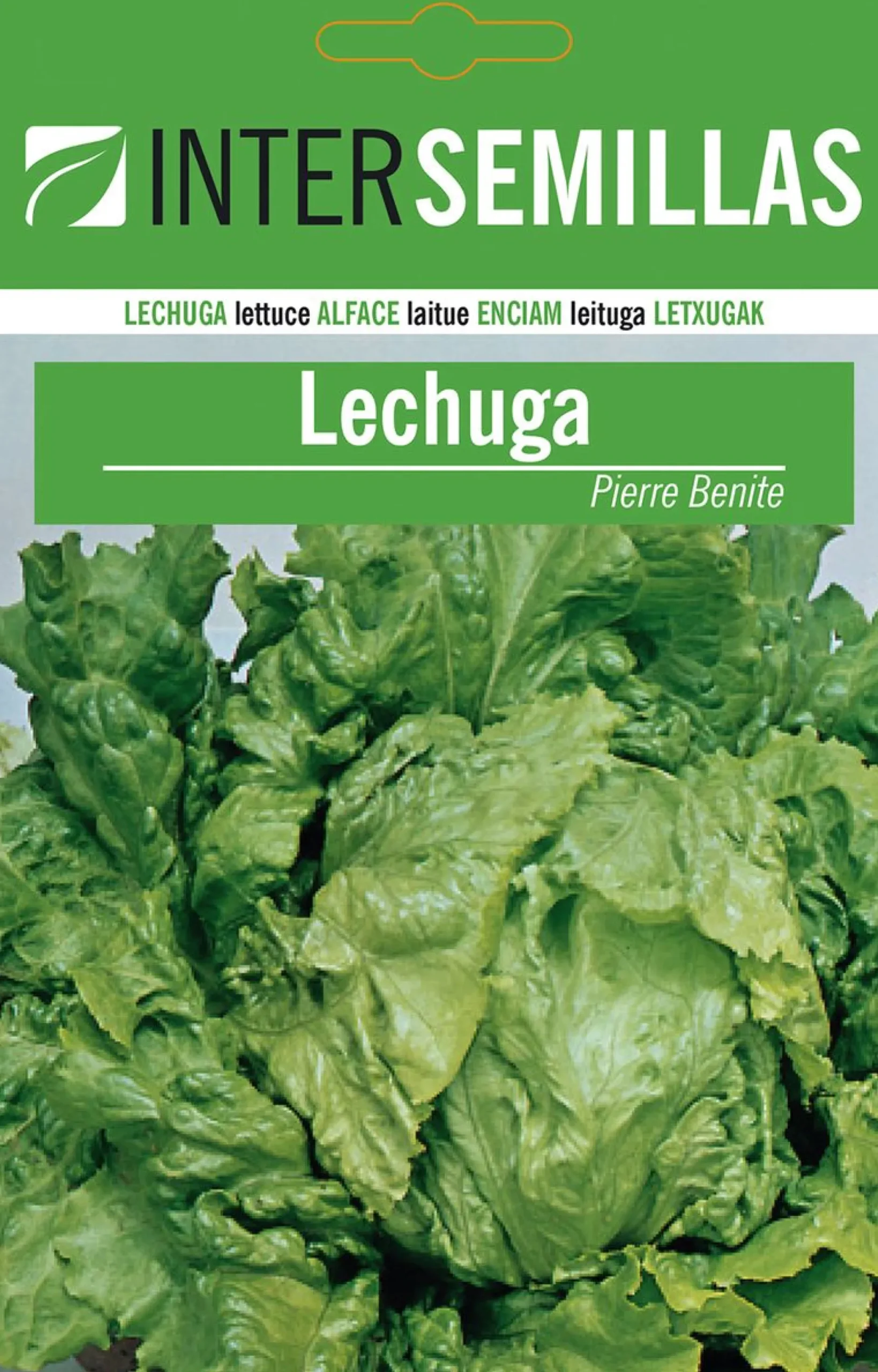 Sobre De Semillas De Lechuga Pierra Benite